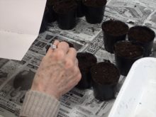 種まき実習の様子