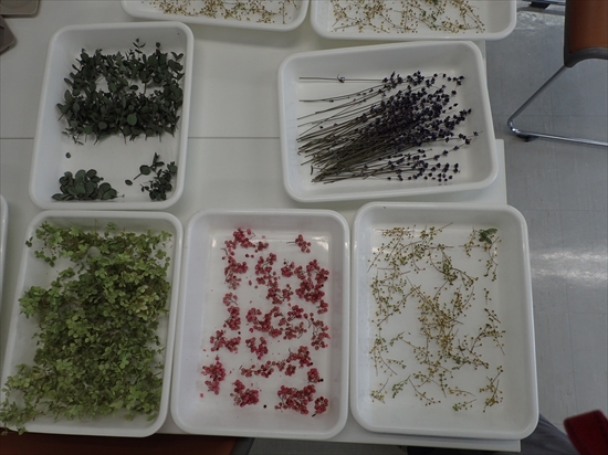 材料のドライフラワー