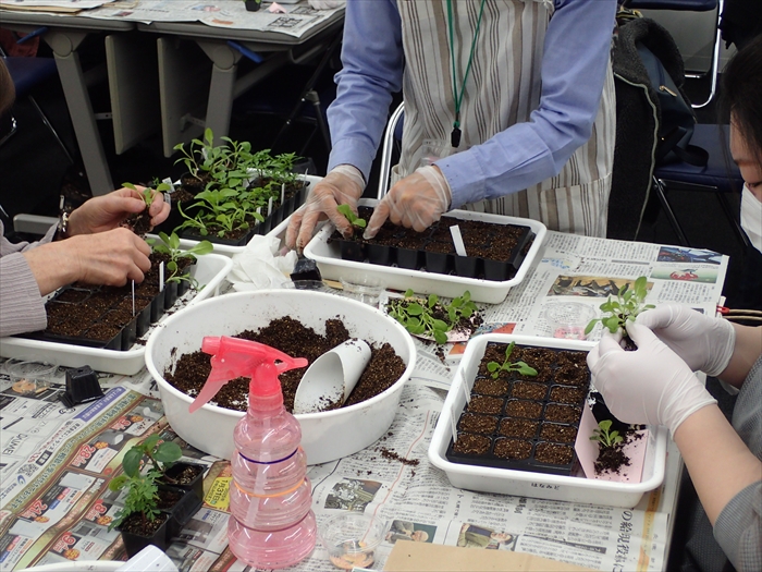 種まき講習会の様子