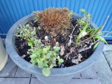 痛んだところを整理した様子