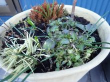 痛んだところを整理した様子