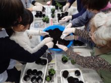 昨年の種まき講座の様子
