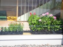 はちけん地区センターの窓際外からの眺め