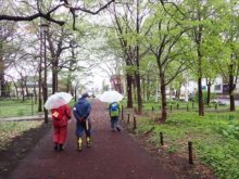 大学村の森の散策の様子