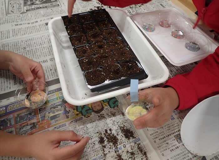 種をまいている