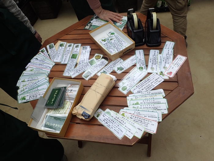 詳しい説明付きのプランツネーム