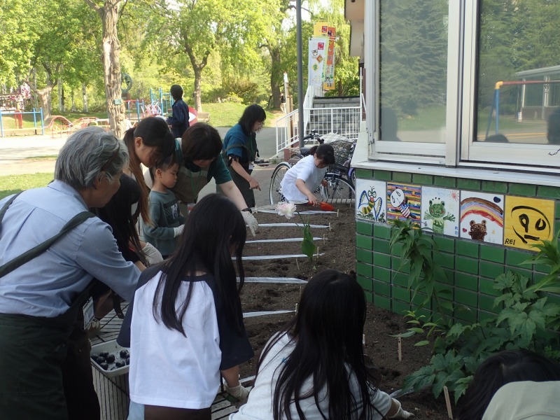 花壇の植えている