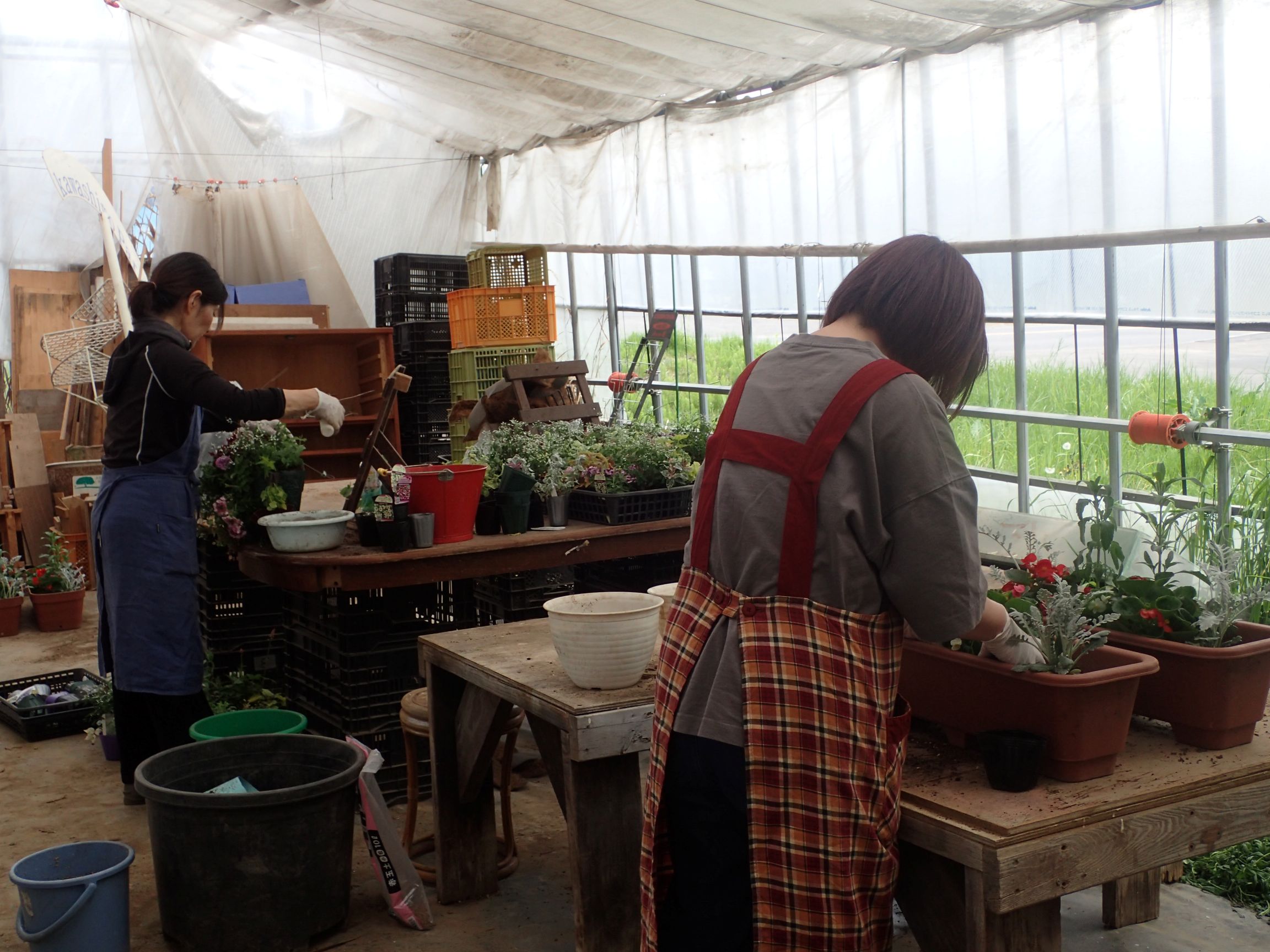 ハンギングバスケットとコンテナに植栽している様子