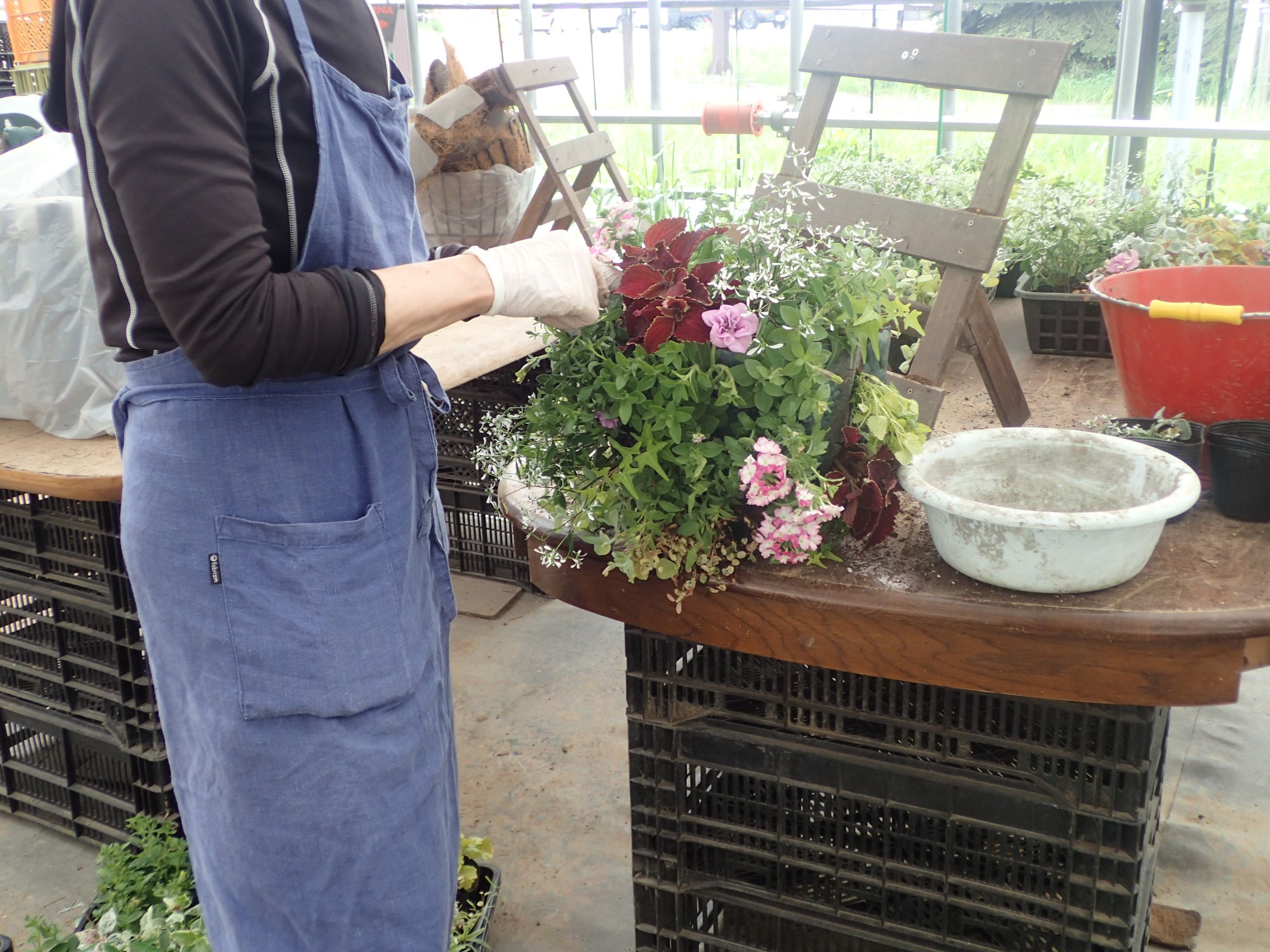 ハンギングバスケットを作っている様子