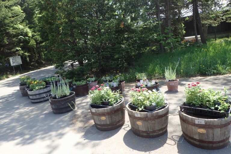 駐車場前のコンテナ