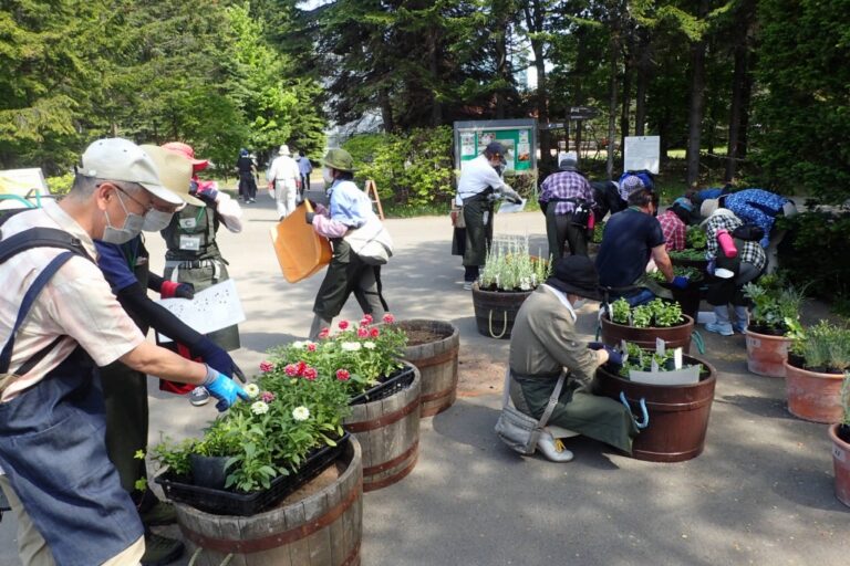 百合が原公園の花植えの様子