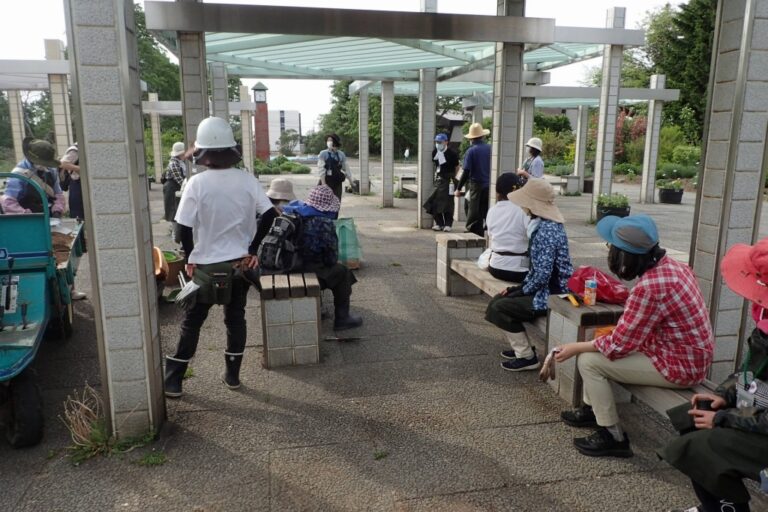 植え終わったみなさんの様子