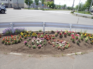 5月の花壇の様子