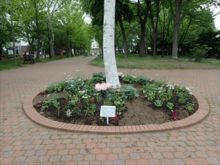 花壇全体の様子