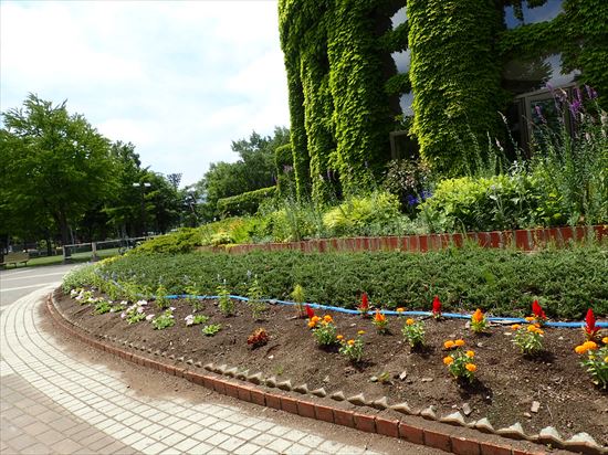 公園周囲のカラフルな植え込み