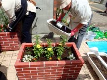 植え終わったコンテナ