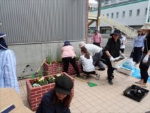 植え込み作業中