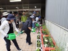 植え終わったコンテナ