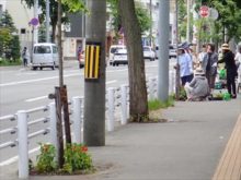 小学校前の街路ます