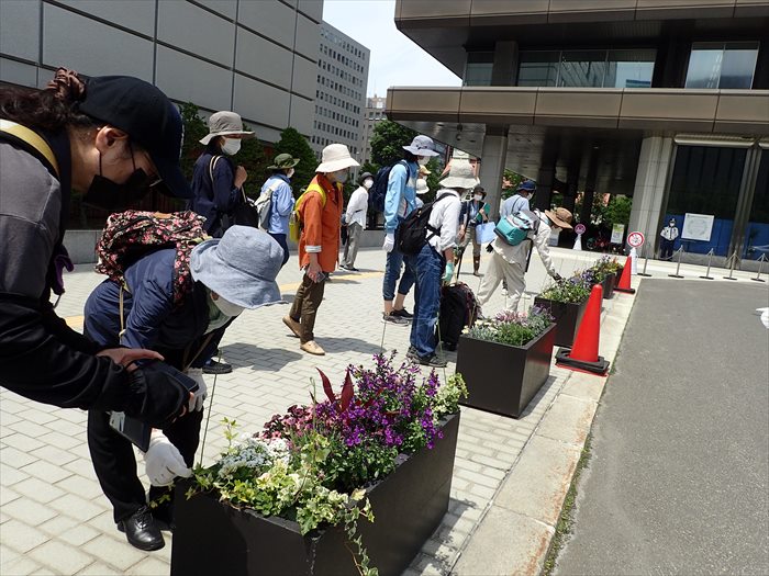 市役所コンテナガーデンの見学