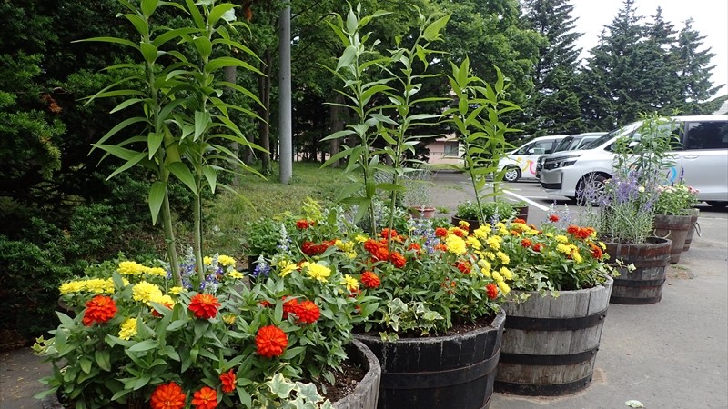 駐車場角のコンテナ途中経過