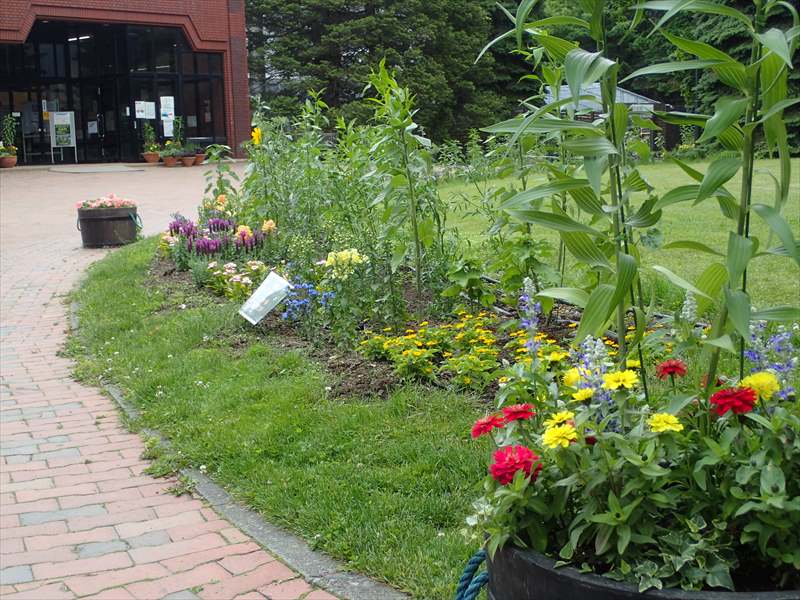 6月23日のメンテナンス時の様子