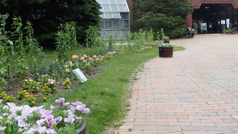 緑のセンター前途中経過