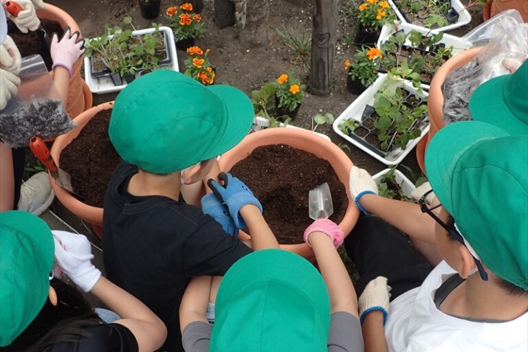 準備をして苗を植えるところ