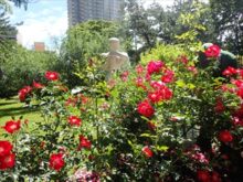 彫刻とバラ花壇