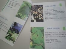 講義のテキスト