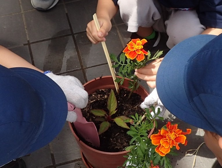補植をしている