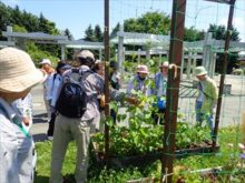 レイズドベットの説明をしているメンバーさん