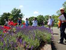 モニュメント広場の花
