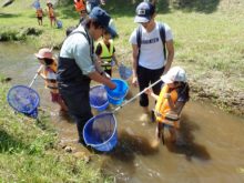 穴の川に専門家と一緒に入って生き物観察