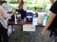 ハーブティー提供コーナー