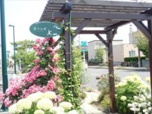 花さんぽストリートの看板