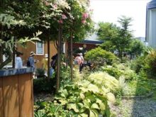 オープンガーデン見学の様子