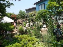 庭の中をぐるっと回っている様子