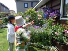 壁面を利用した植栽