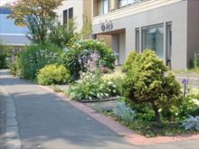 恵み野駅前通りの植栽