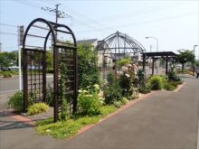 花さんぽストリート