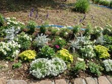 メンテナンス前