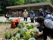 花壇実習の様子