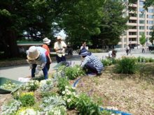 メンテナンスの様子