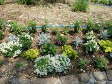 メンテナンス後