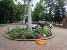 メンテナンスの様子