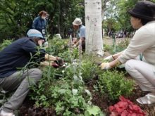 メンテナンスを行っているところ