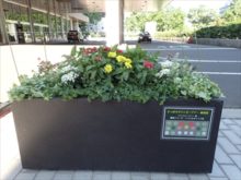 ケントビューティー班のコンテナ