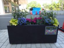 おっさんず班のコンテナ