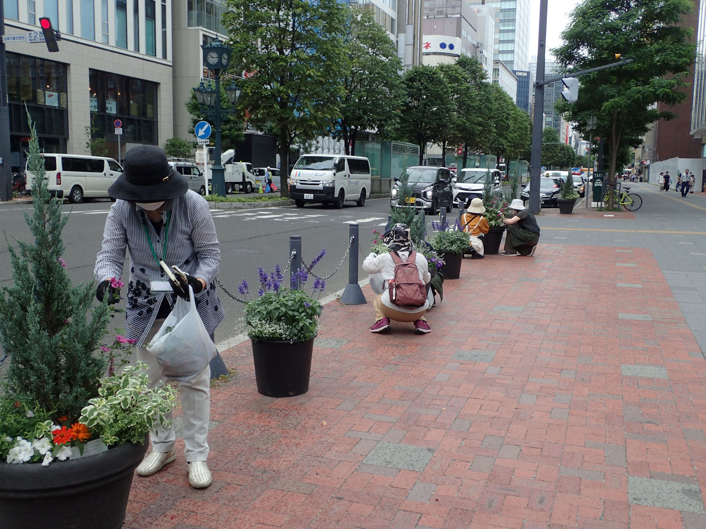 メンテナンスのようす(全景)